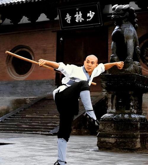 中国武术明星,传承与创新之路