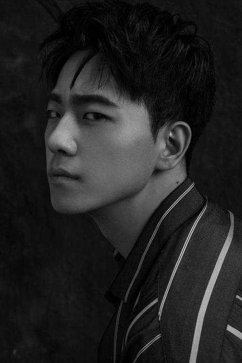 王姓演员,璀璨星河中的璀璨星辰