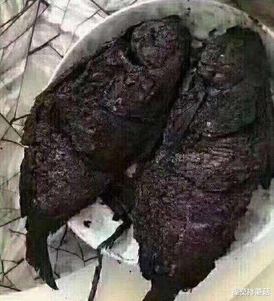 黑暗料理 搞笑,笑料横生的美食奇遇记