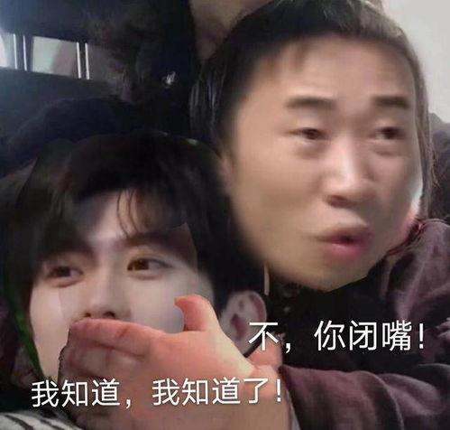 杨迪表情包告辞,告别舞台的幽默瞬间